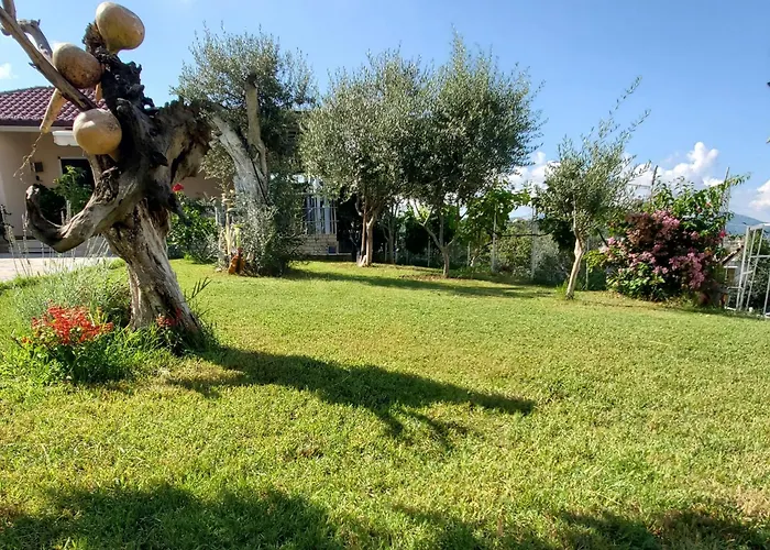 Villa Nikol